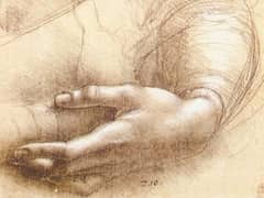 Study of Arms and Hands by Leonardo da Vinci