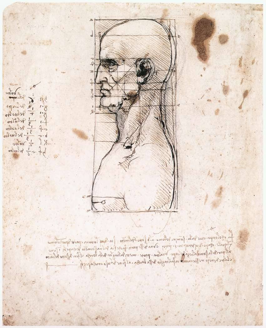 Bust of a man in profile with measurements and notes, by Leonardo da Vinci