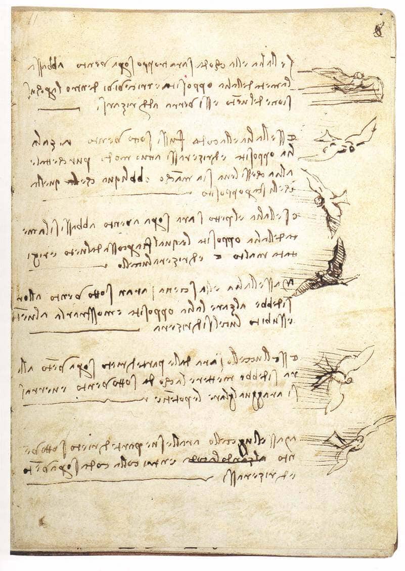 Codex on the Flight of Birds - by Leonardo da Vinci