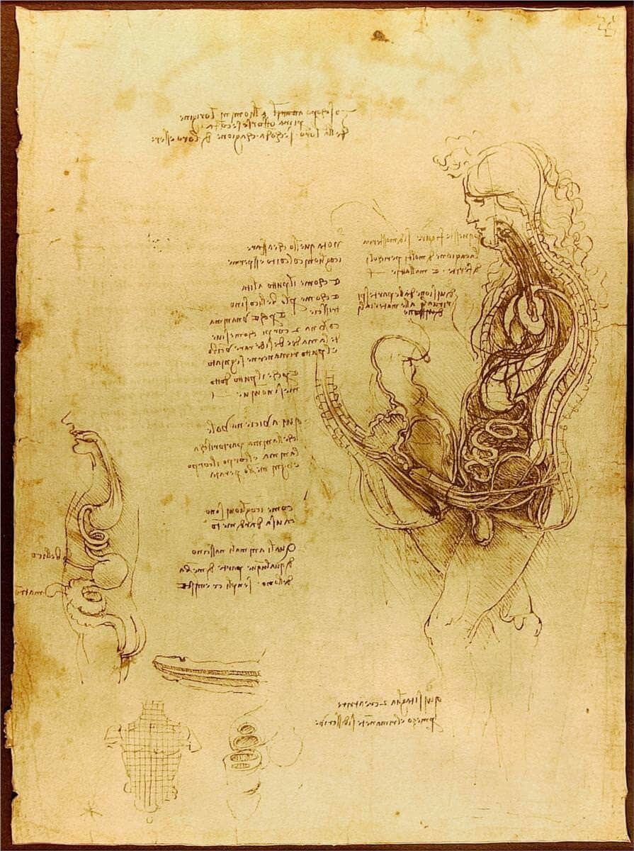 Coition of a hemisected man and woman - by Leonardo da Vinci