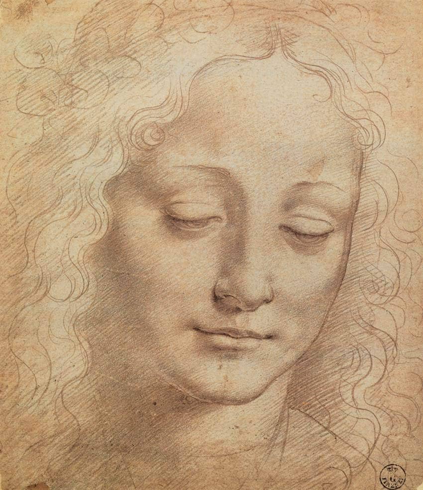 Female Head - by Leonardo da Vinci