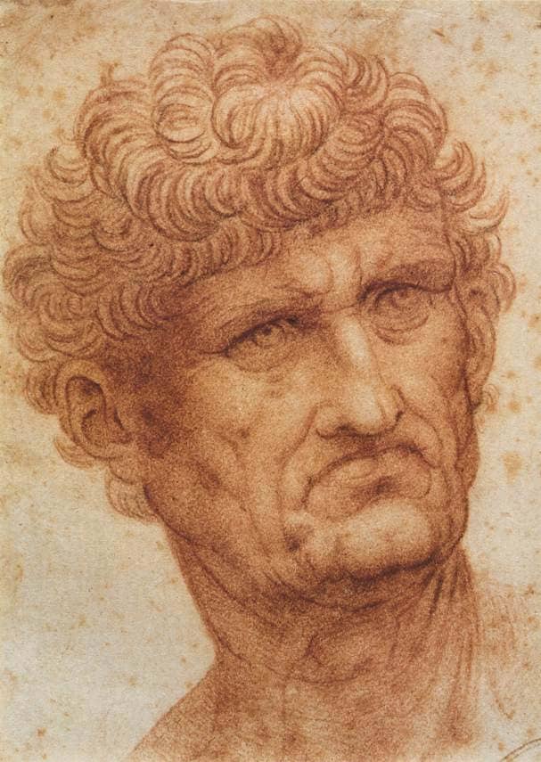 Head of a Man - by Leonardo da Vinci