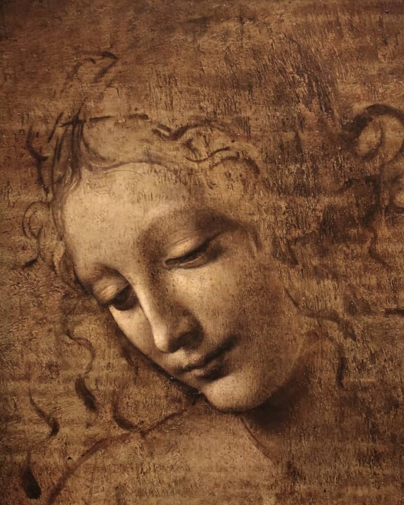 Head of a Woman - by Leonardo da Vinci