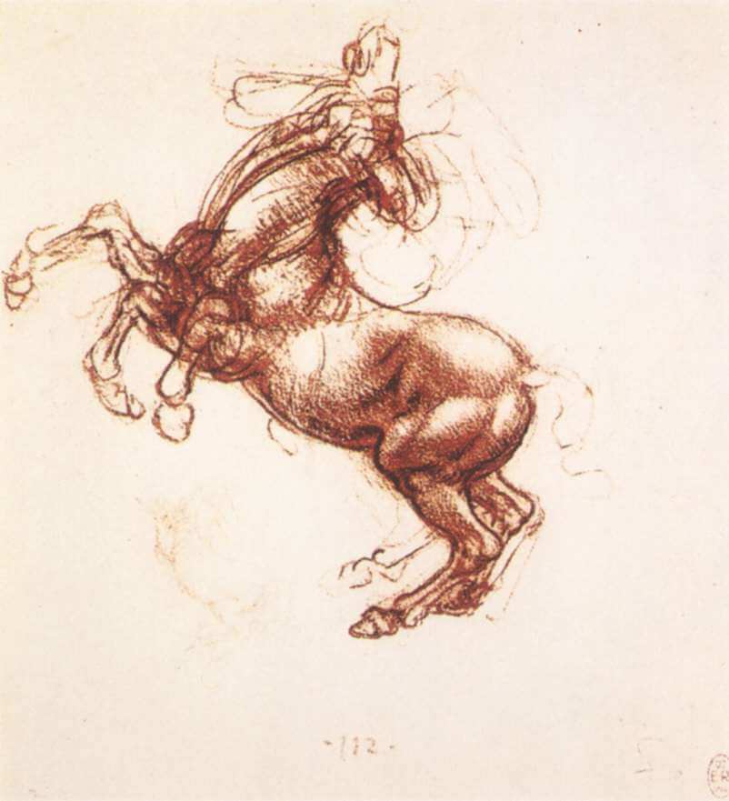 Rearing Horse - by Leonardo da Vinci