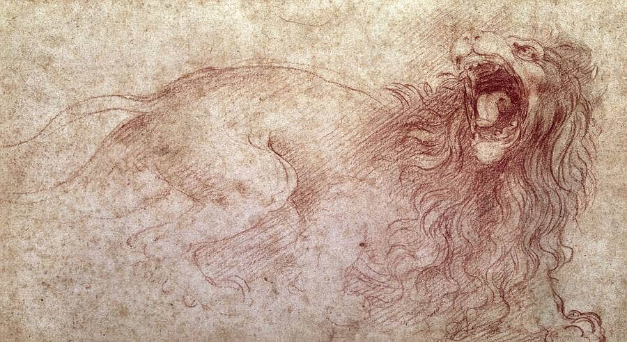 Sketch of a Roaring Lion- by Leonardo da Vinci