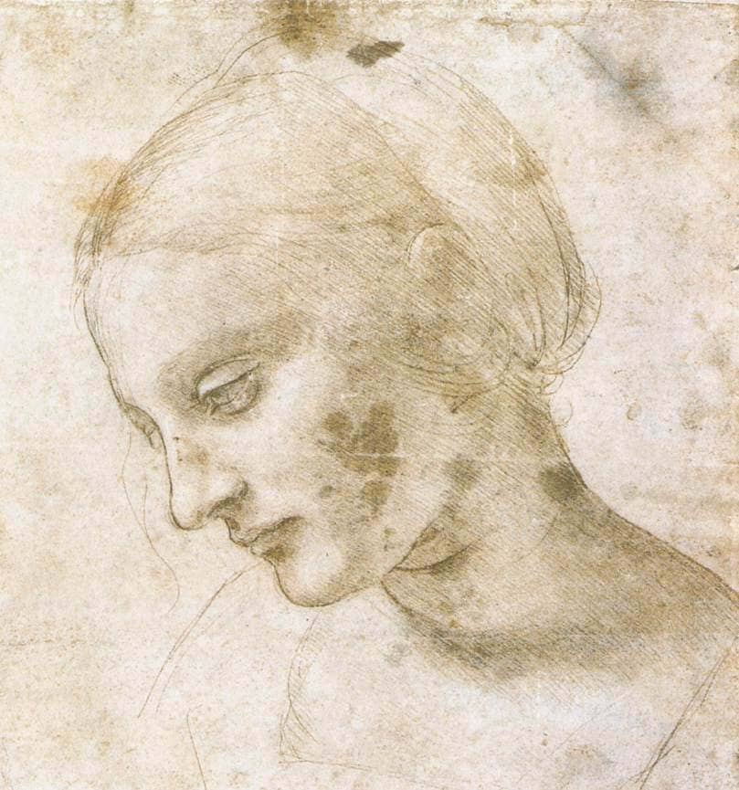 Study of a Woman's Head - by Leonardo da Vinci