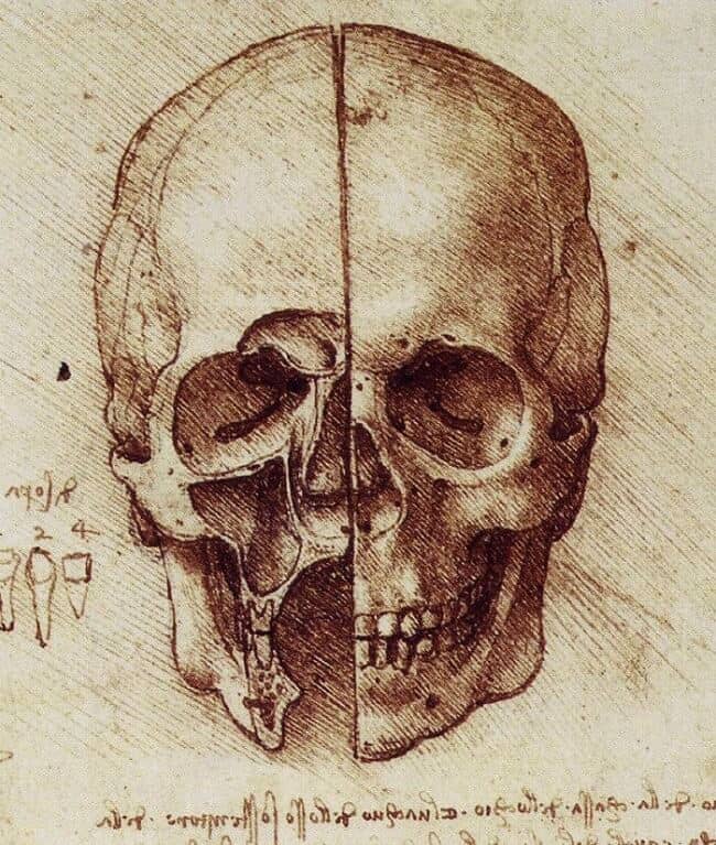 The Skull - by Leonardo da Vinci