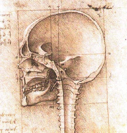 View of a Skull 2 - by Leonardo da Vinci