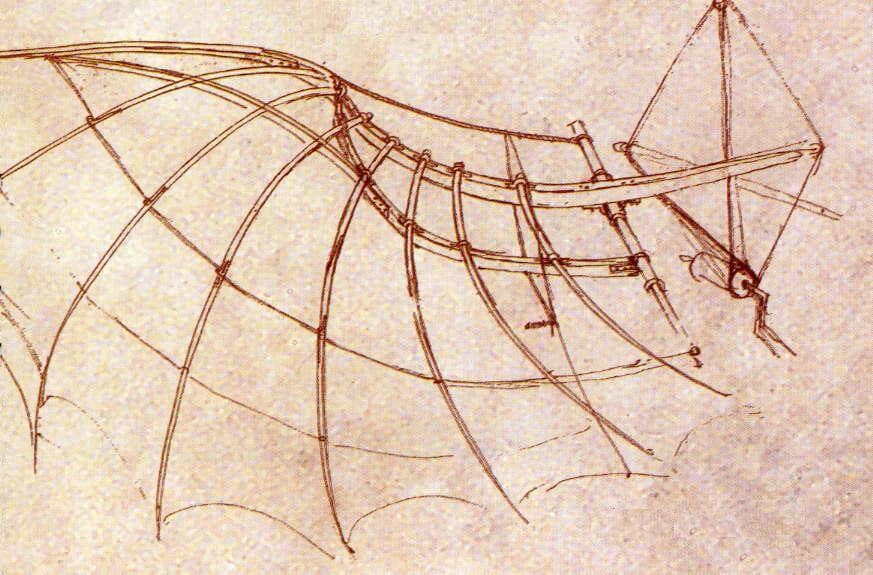 Wing Construction with Engineering Design - by Leonardo da Vinci